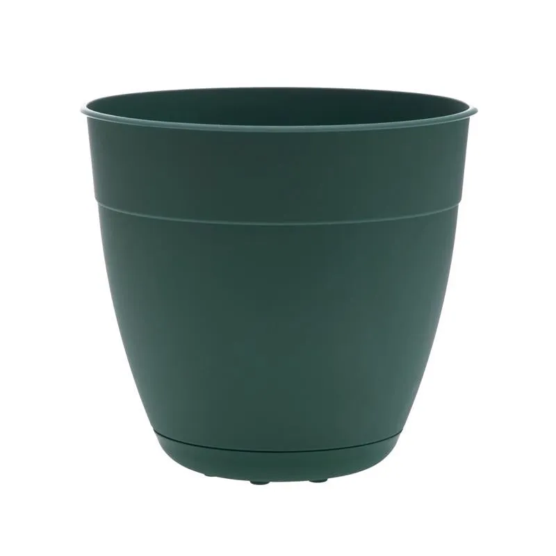 Bloem Dayton 5.75 in. H X 6 in. D Plastic Transitional Planter Turtle Green