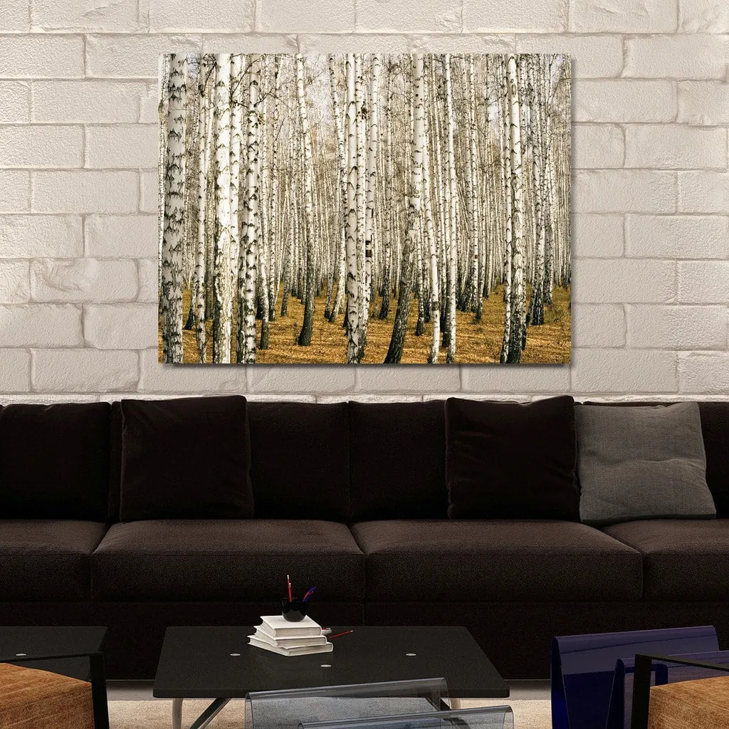 "Birch Trees 3" Giclee Print Canvas Wall Art