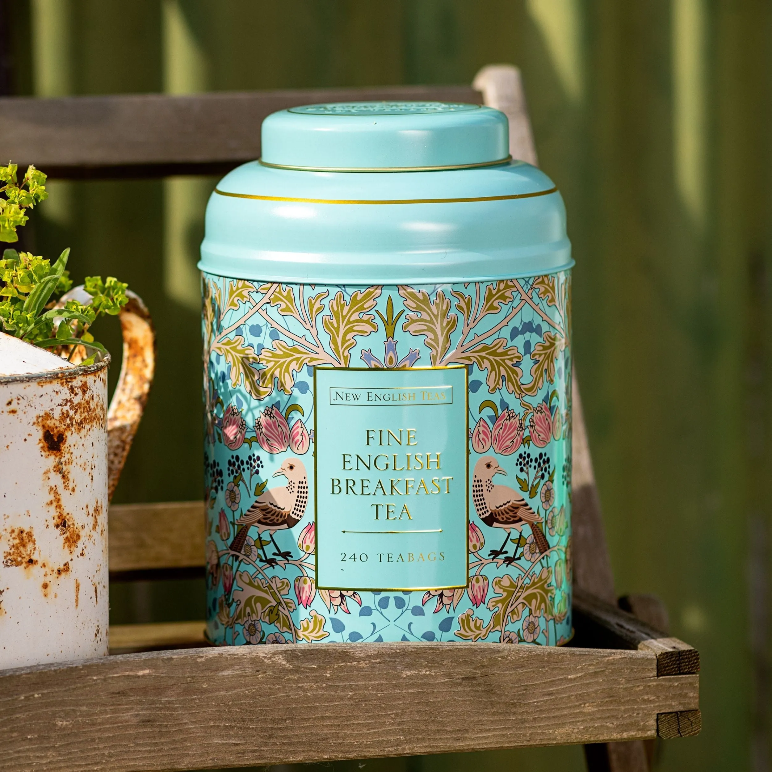 Song Thrush & Berries Tea Caddy - Mint Green