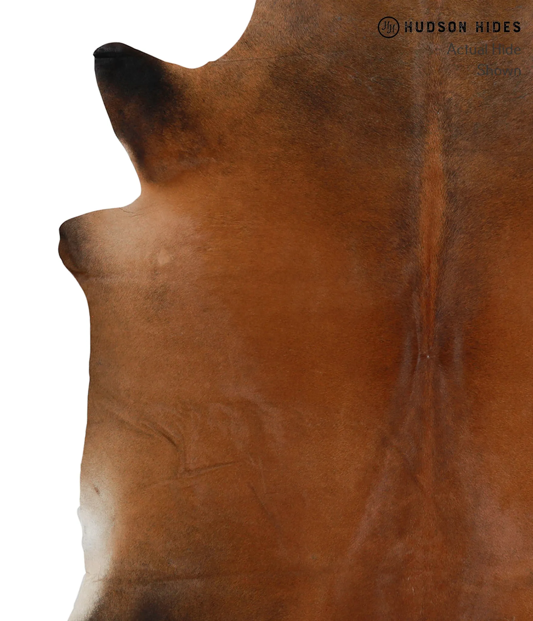 Warm Caramel Large Brazilian Cowhide Rug 6'7"H x 5'11"W #85392 by Hudson Hides