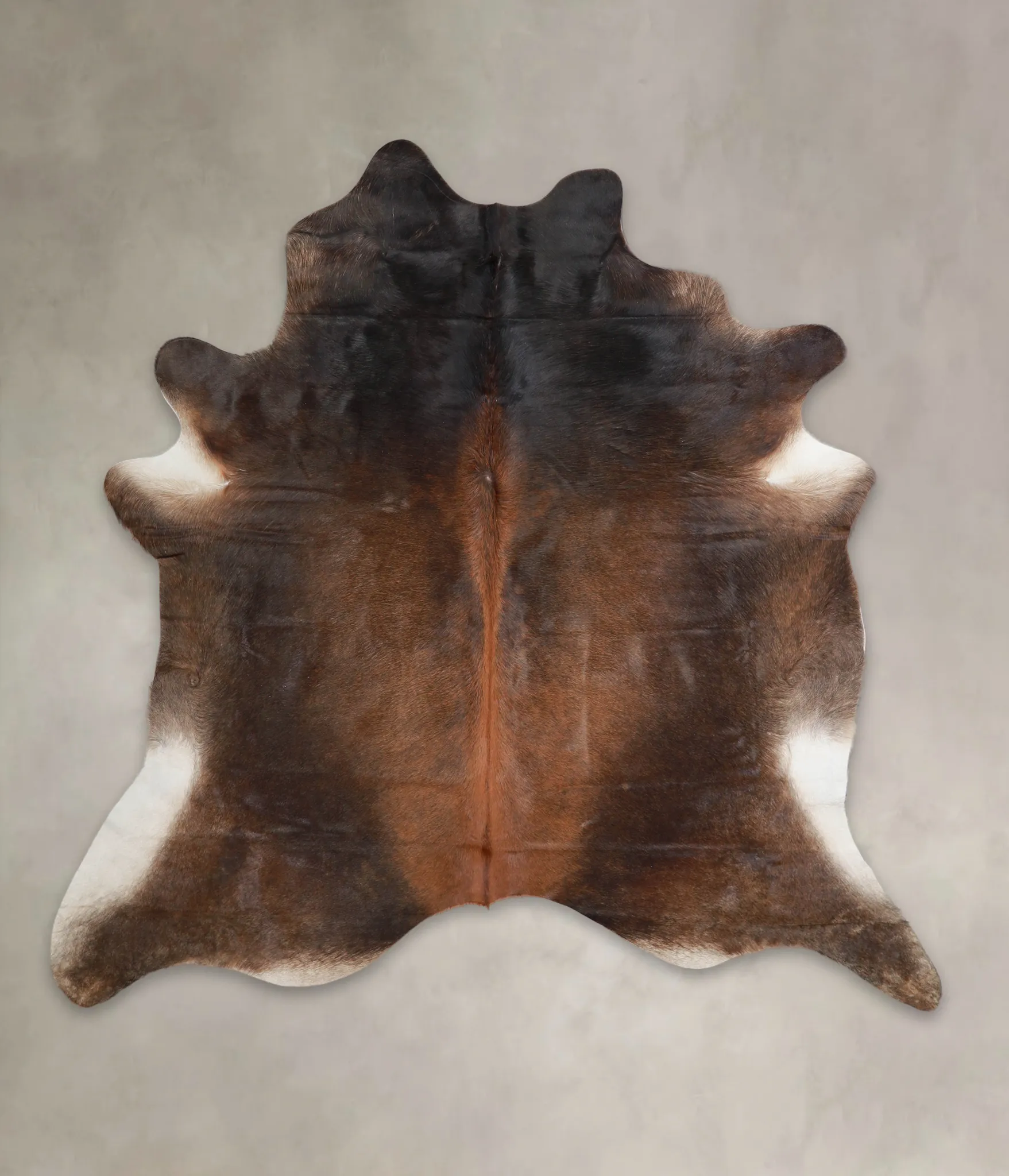 Warm Caramel X-Large Brazilian Cowhide Rug 6'11"H x 7'0"W #A24538 by Hudson Hides