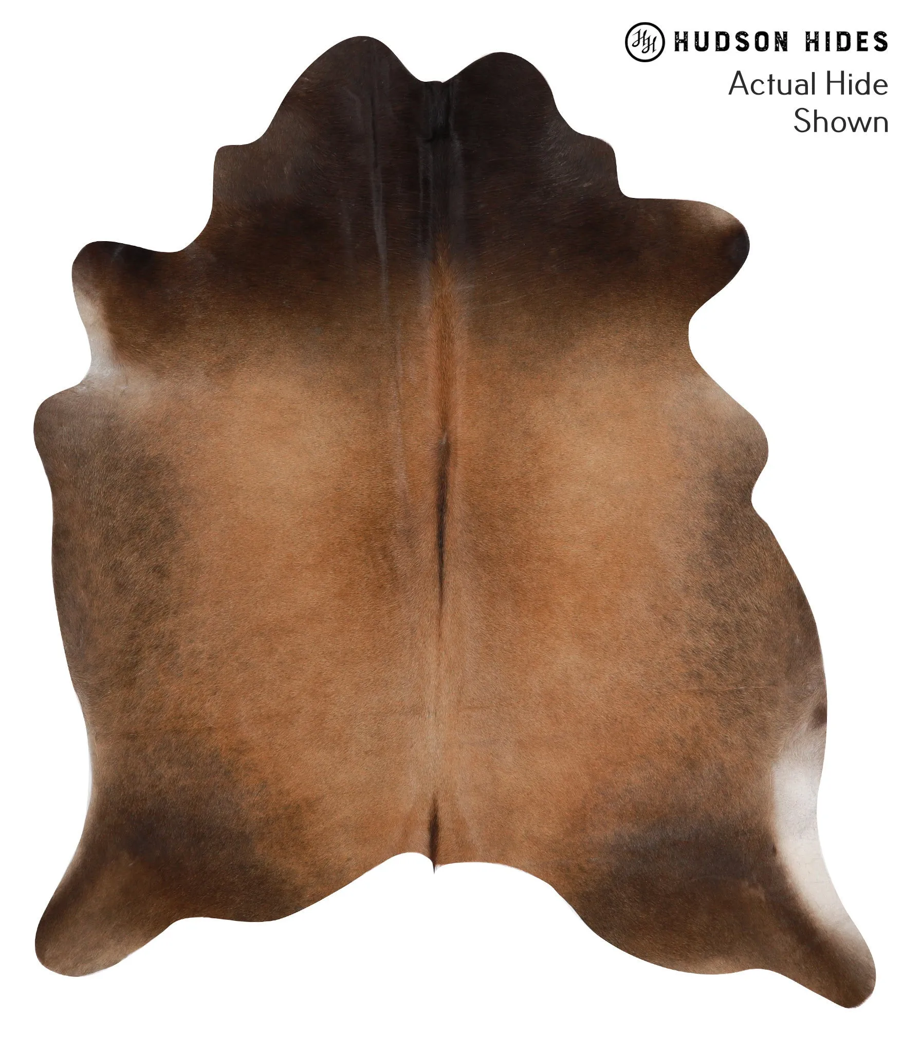 Warm Caramel X-Large Brazilian Cowhide Rug 7'1"H x 6'5"W #52367 by Hudson Hides