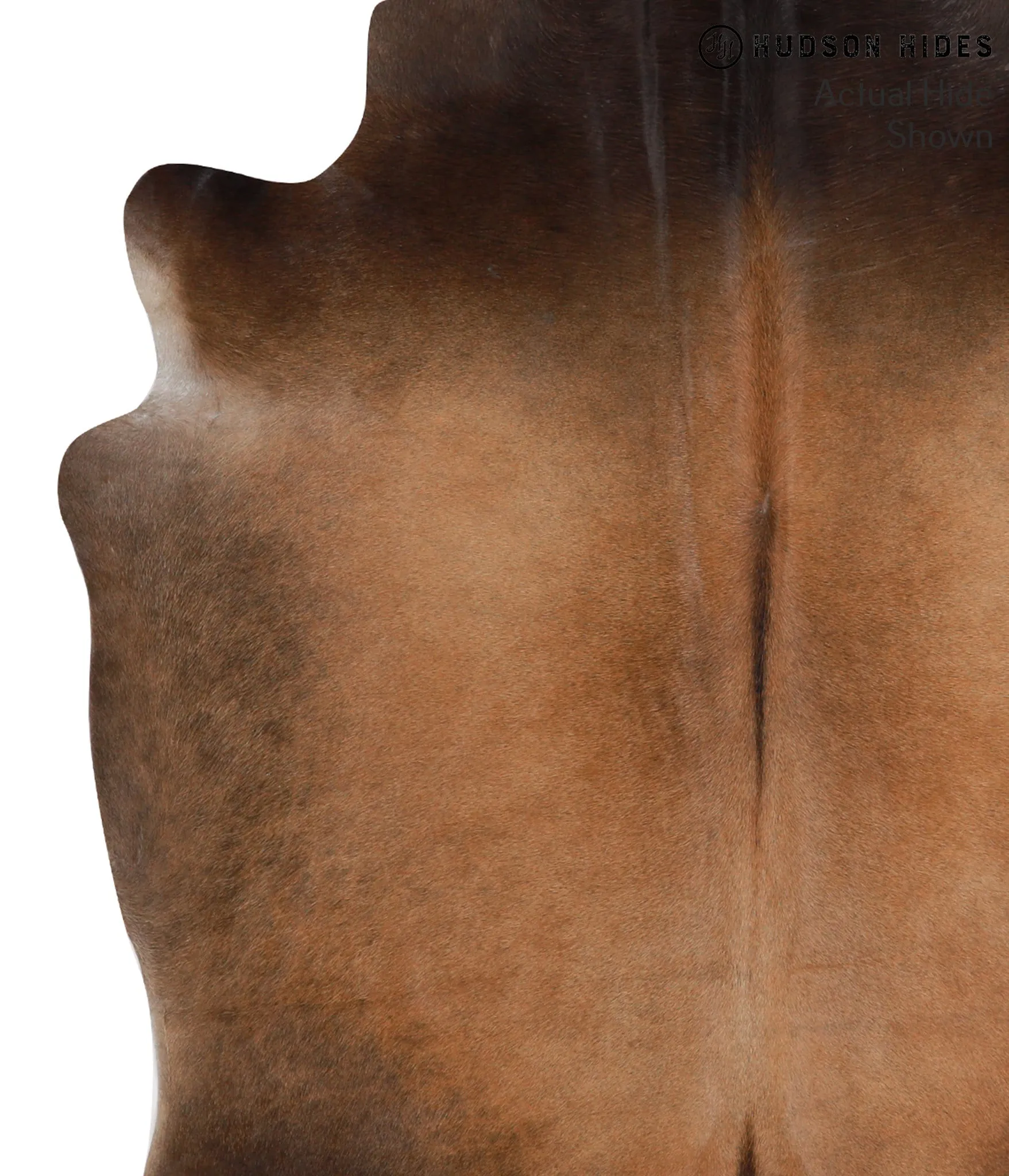 Warm Caramel X-Large Brazilian Cowhide Rug 7'1"H x 6'5"W #52367 by Hudson Hides