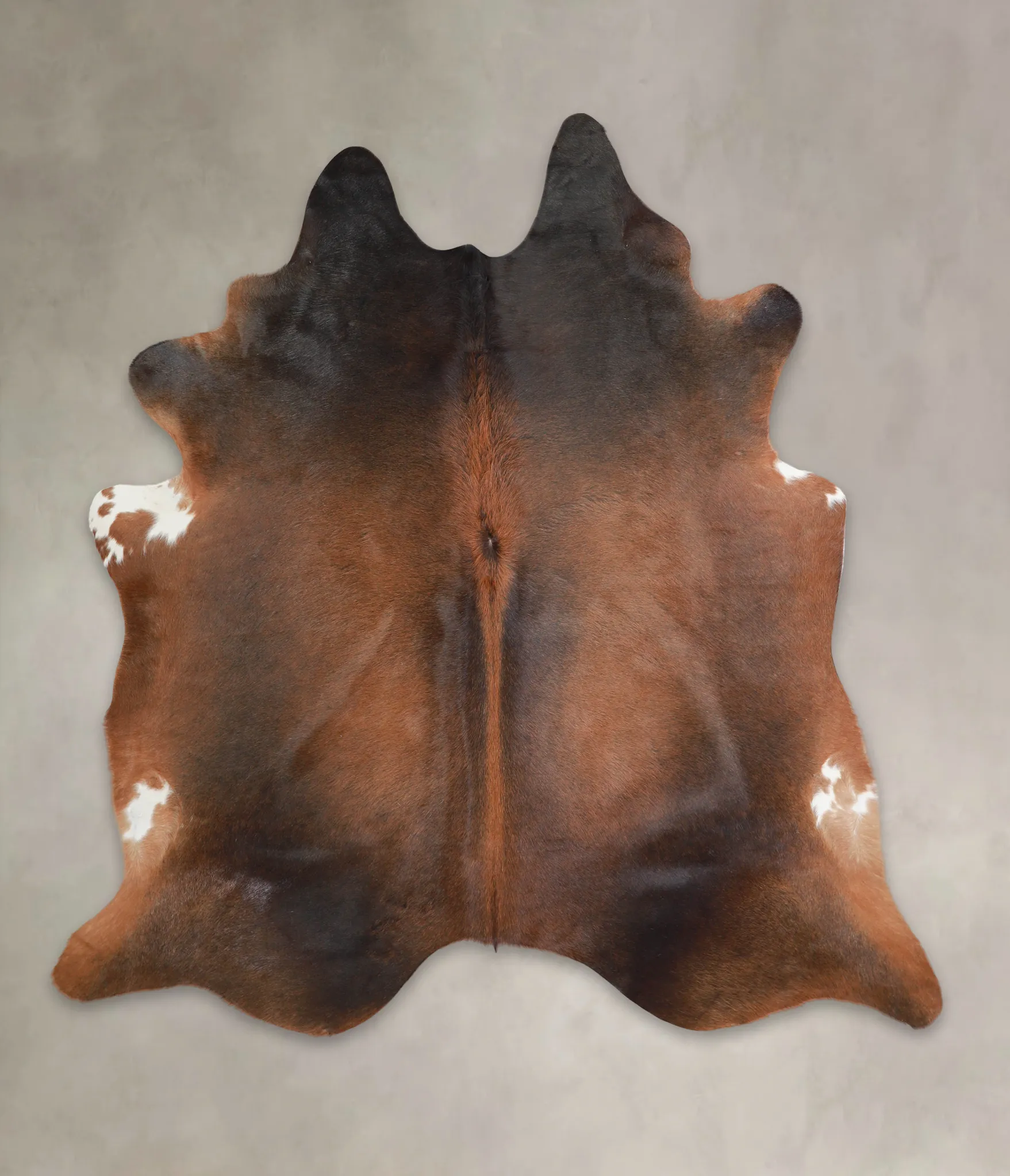 Warm Caramel X-Large Brazilian Cowhide Rug 7'2"H x 6'10"W #A25555 by Hudson Hides