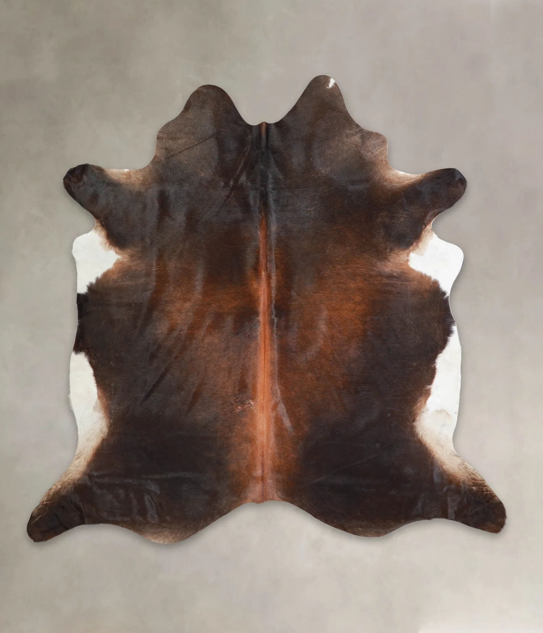 Warm Caramel XX-Large Brazilian Cowhide Rug 7'6"H x 7'7"W #A24729 by Hudson Hides